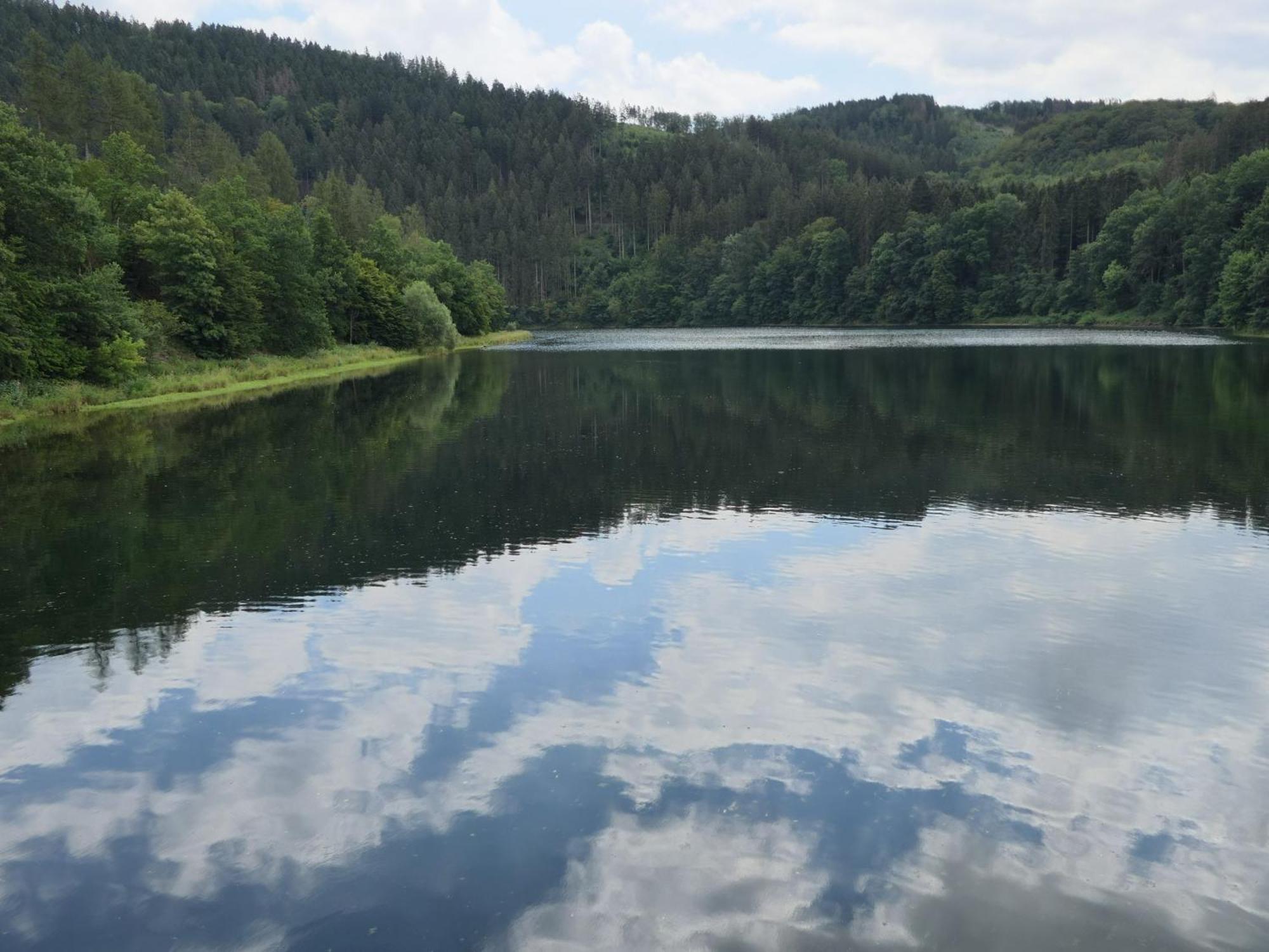 Fewo-Rosenberger-Sauerland เลนเนชตัดท์ ภายนอก รูปภาพ